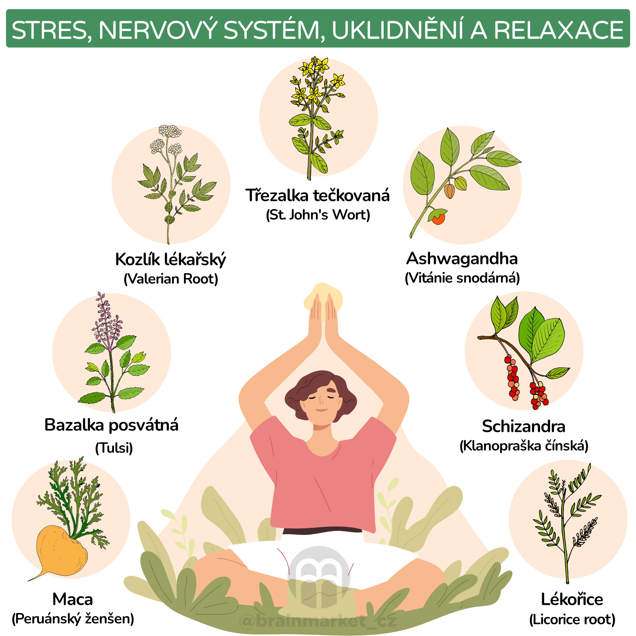 Stres, nervový systém, uklidnění a relaxace_infografika_cz